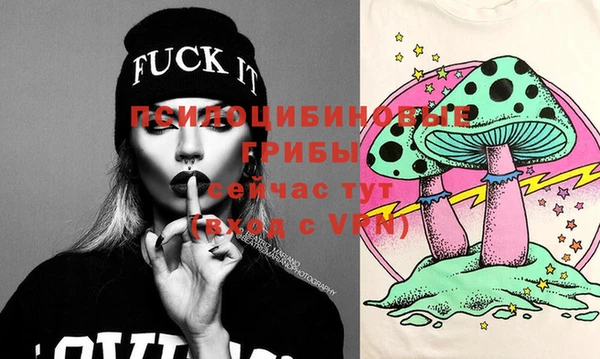 молекула духа Балахна