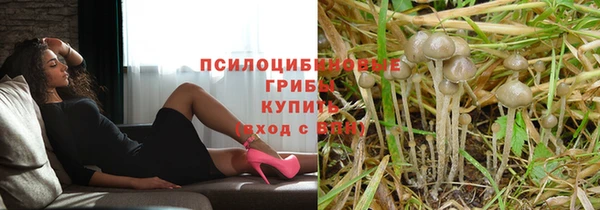 молекула духа Балахна