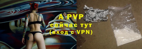 молекула духа Балахна